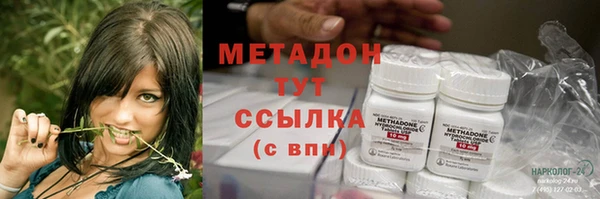 шишки Гусев