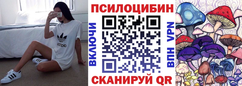 что такое наркотик  Сольцы  гидра как войти  Псилоцибиновые грибы MAGIC MUSHROOMS 